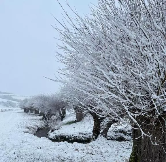 Aamiaismajoitus (B&B) A Little Peace And Quiet