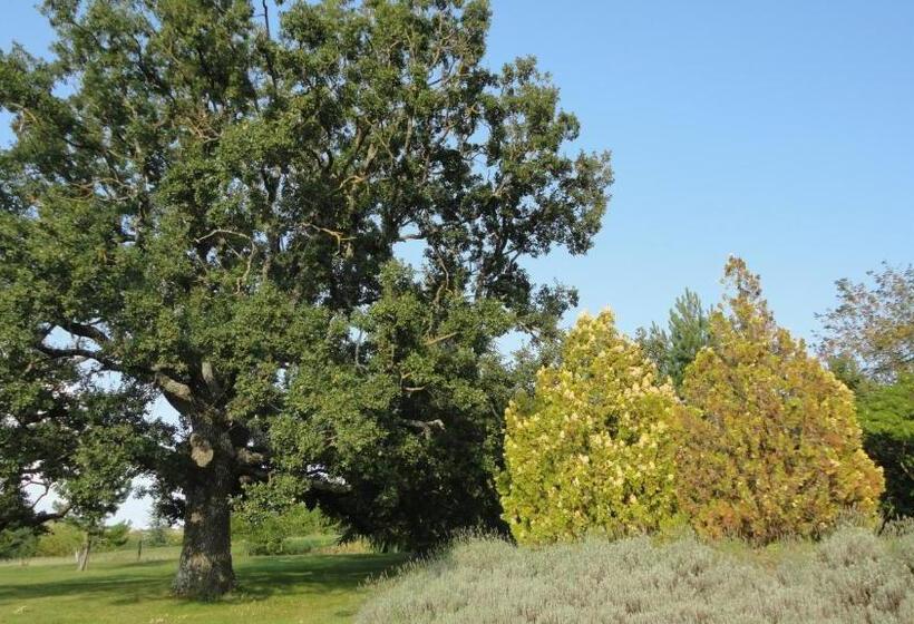 צימר Chambre D Hôtes Le Jas Des Sagnières