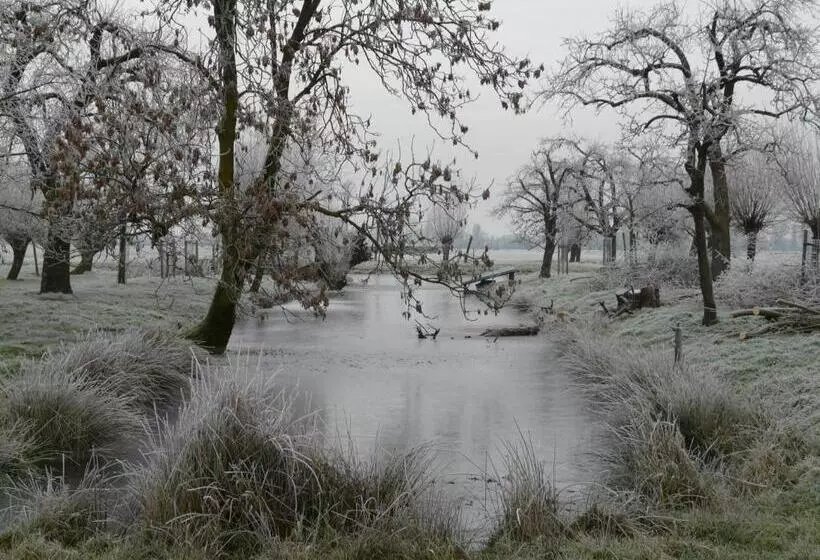 Aamiaismajoitus (B&B) De Boomgaard Groene Hart