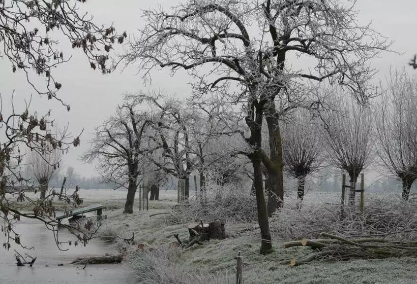 Aamiaismajoitus (B&B) De Boomgaard Groene Hart