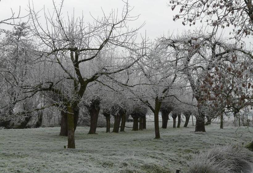 צימר De Boomgaard Groene Hart