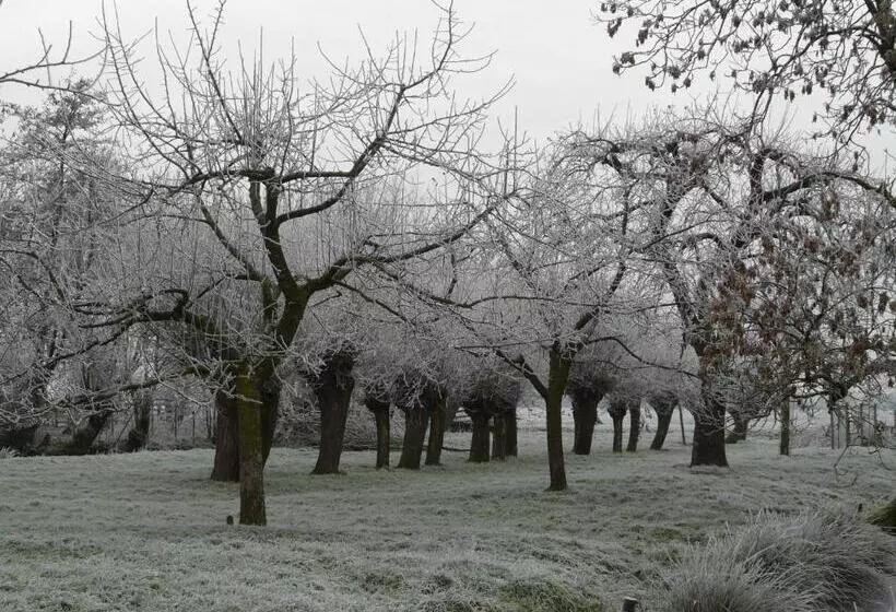 Aamiaismajoitus (B&B) De Boomgaard Groene Hart