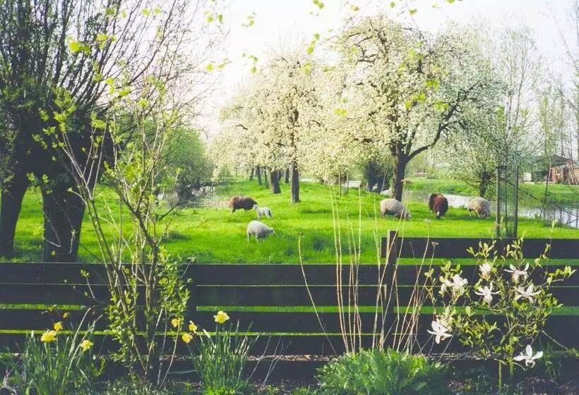 Aamiaismajoitus (B&B) De Boomgaard Groene Hart