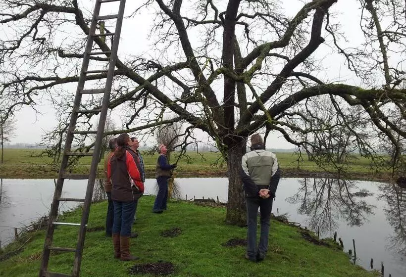 Aamiaismajoitus (B&B) De Boomgaard Groene Hart