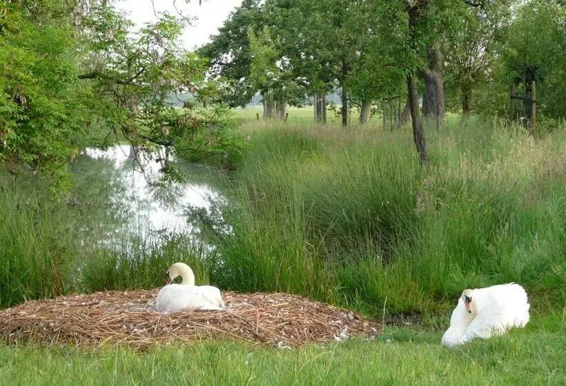 Aamiaismajoitus (B&B) De Boomgaard Groene Hart