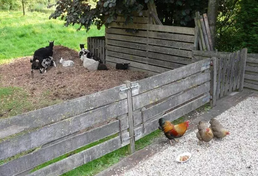 Aamiaismajoitus (B&B) De Boomgaard Groene Hart