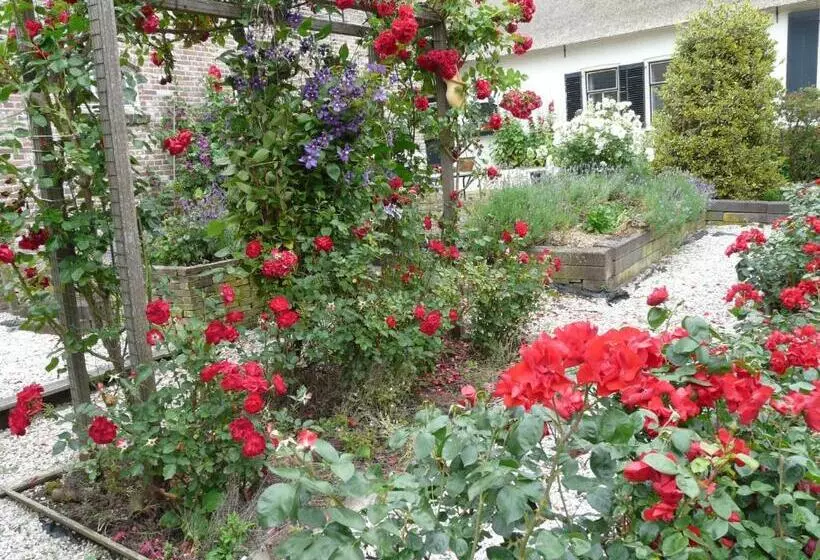 Aamiaismajoitus (B&B) De Boomgaard Groene Hart