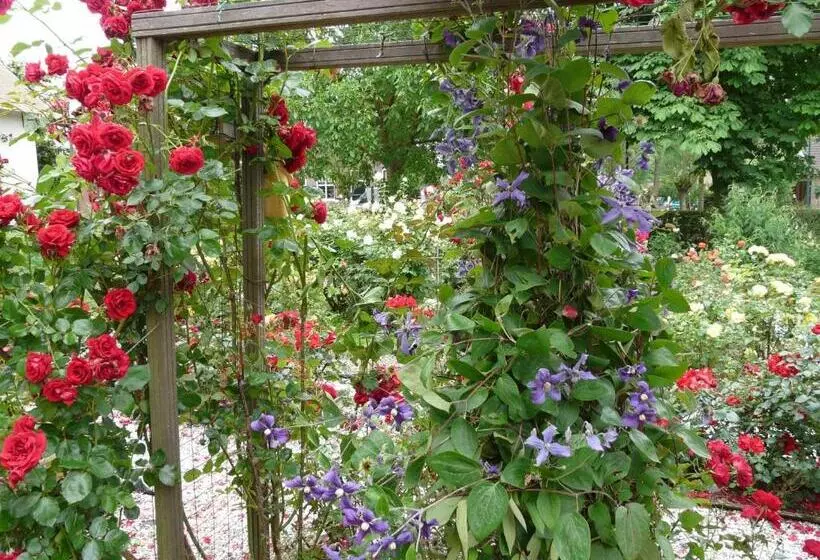 Aamiaismajoitus (B&B) De Boomgaard Groene Hart