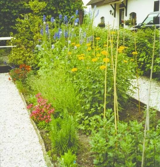 Aamiaismajoitus (B&B) De Boomgaard Groene Hart