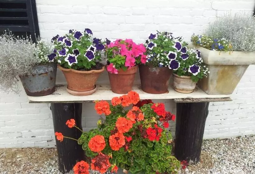 Aamiaismajoitus (B&B) De Boomgaard Groene Hart