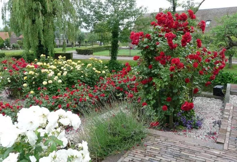 Aamiaismajoitus (B&B) De Boomgaard Groene Hart