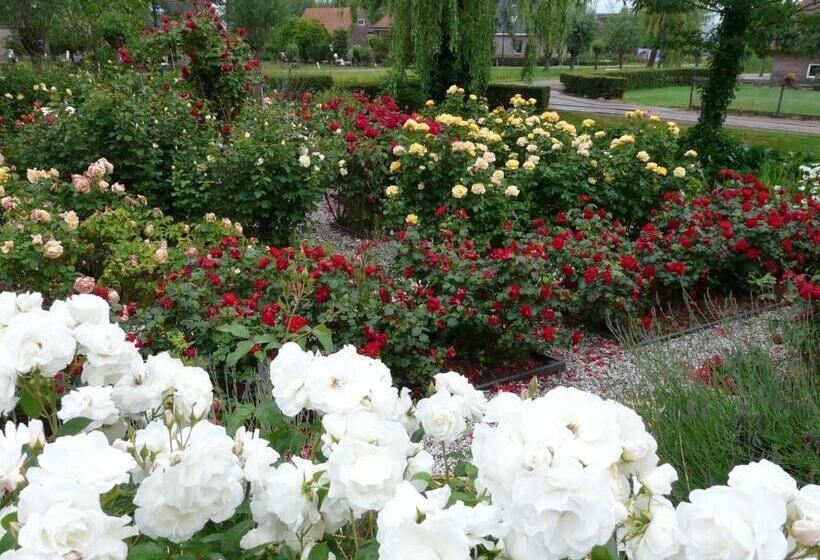 צימר De Boomgaard Groene Hart