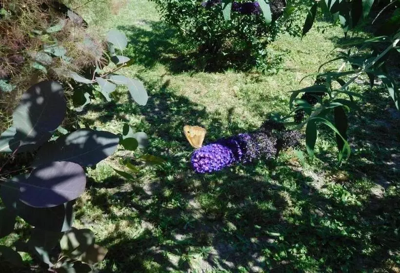 Aamiaismajoitus (B&B) La Cle Des Sens