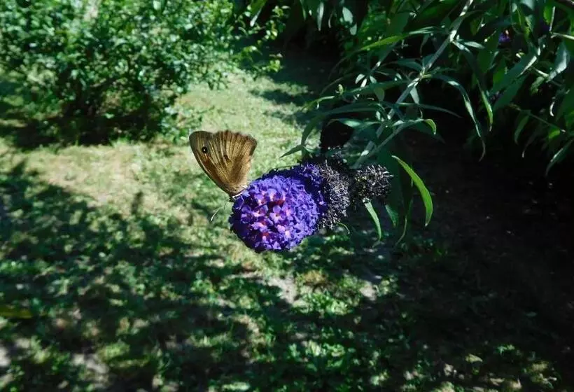 Aamiaismajoitus (B&B) La Cle Des Sens