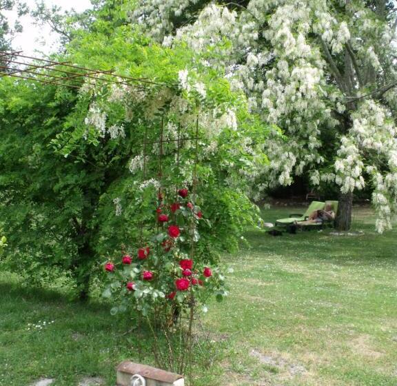 Bed and Breakfast Les Hôtes Landes