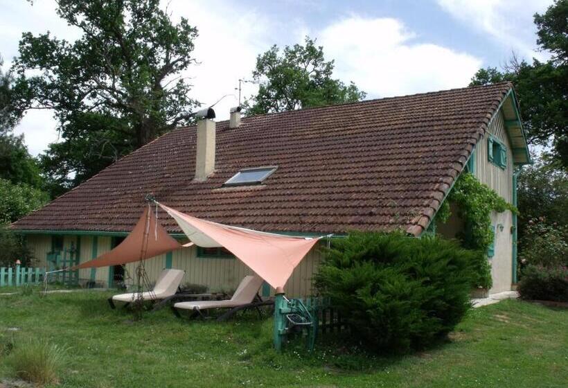 Bed and Breakfast Les Hôtes Landes