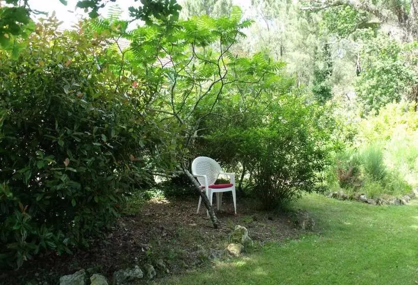 Aamiaismajoitus (B&B) Les Hôtes Landes