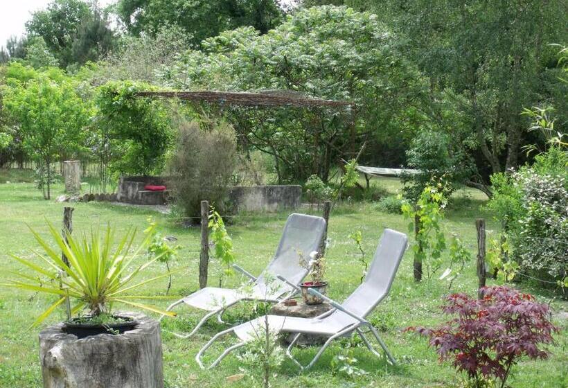 Bed and Breakfast Les Hôtes Landes