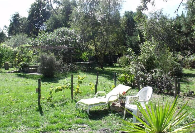 Bed and Breakfast Les Hôtes Landes