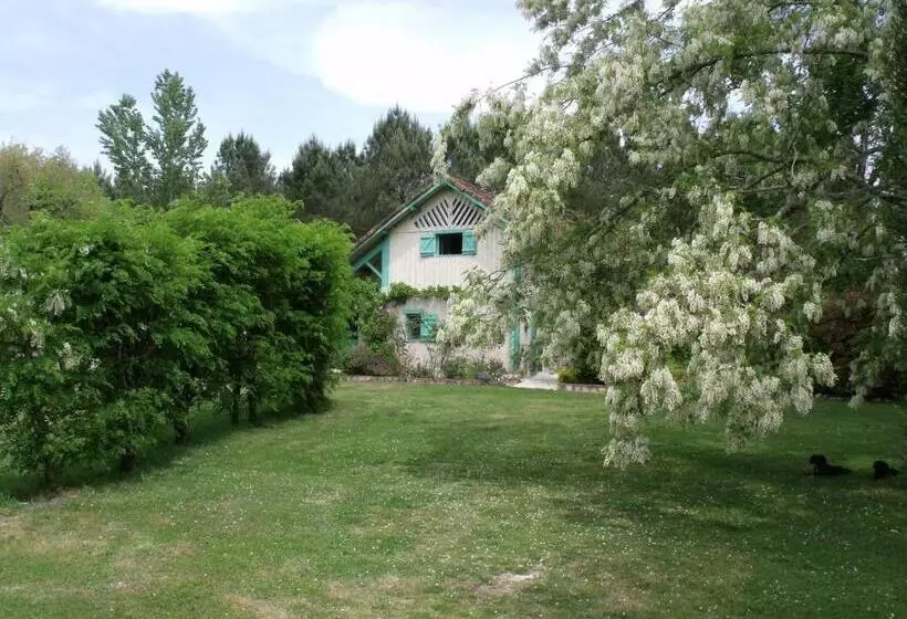 Aamiaismajoitus (B&B) Les Hôtes Landes