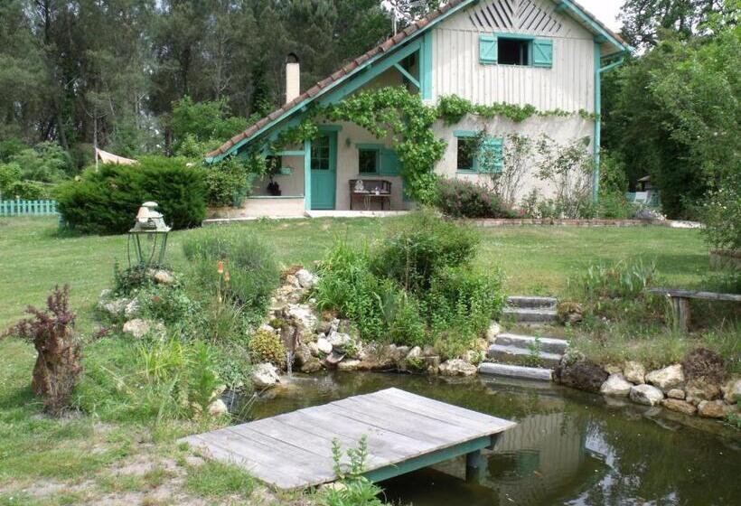 Bed and Breakfast Les Hôtes Landes