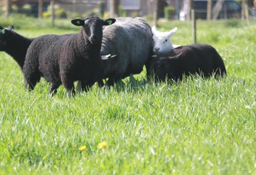 مبيت وإفطار Logerenbijonsz