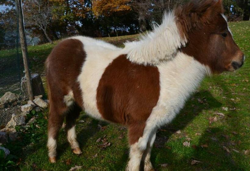 בית מלון כפרי Agriturismo Montagnola Abruzzo