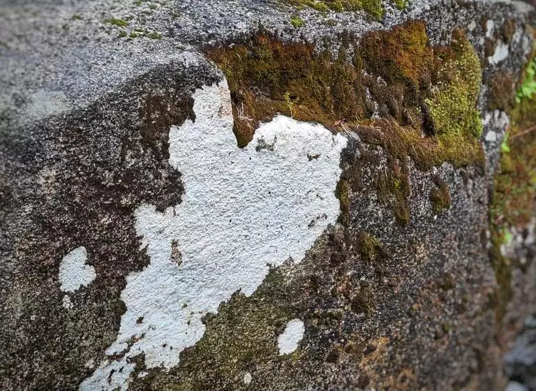 ホテル Cardenha Da Bessada