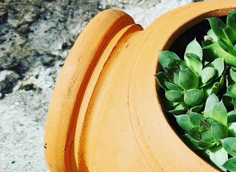 호텔 Cardenha Da Bessada