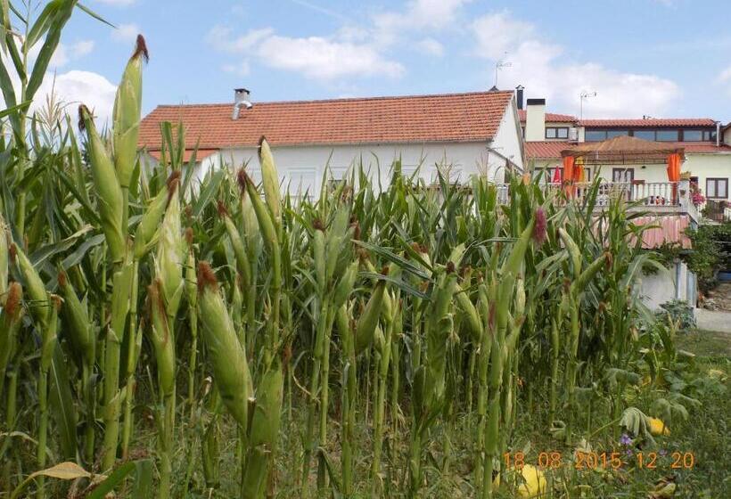 酒店 Casarao Dos Reis