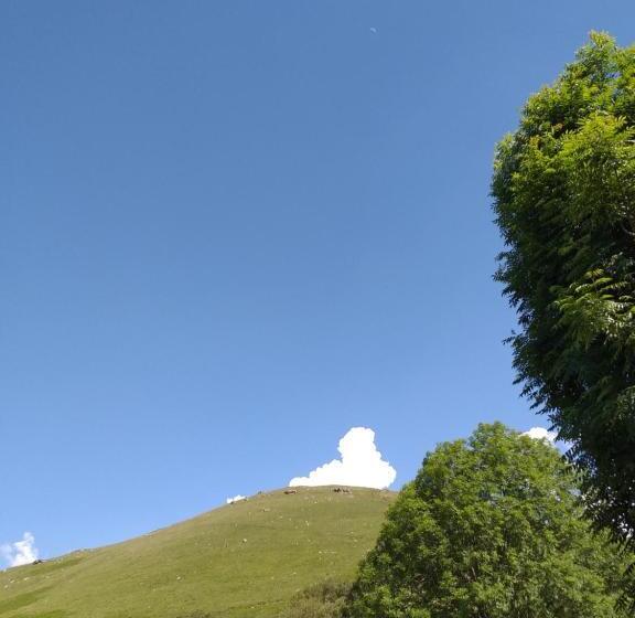 酒店 Casuca Pico Jiniro