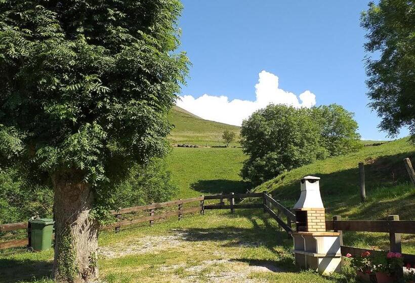 酒店 Casuca Pico Jiniro