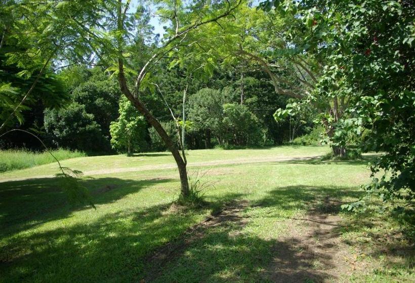 モーテル The Bushranger Hideaway