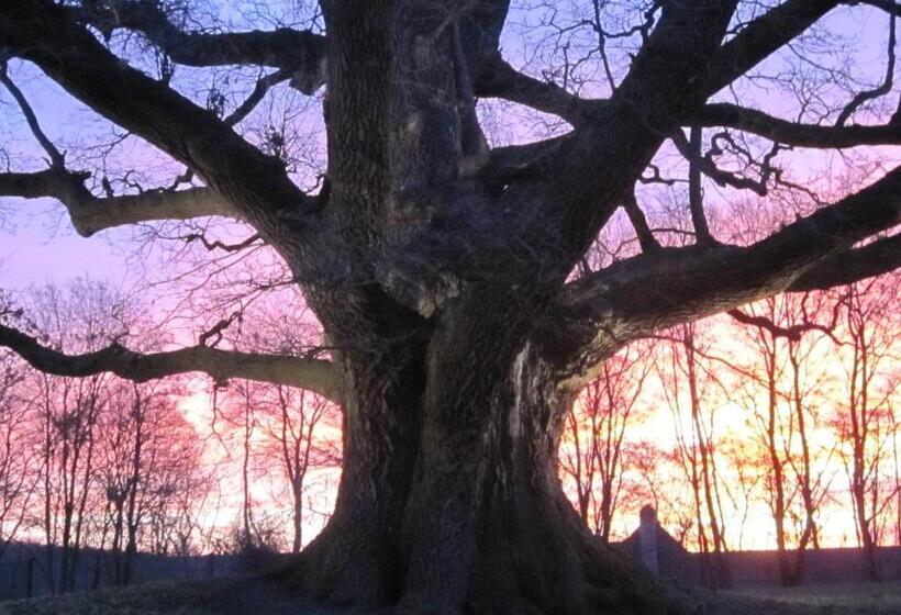 بنسيون Hof Grafeneiche