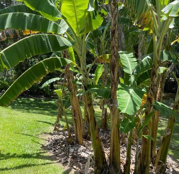 פנסיון Kin Kin Cottage Retreat