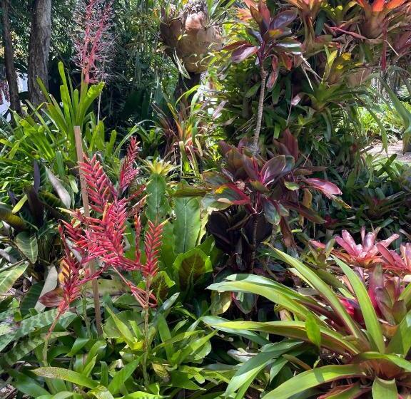 פנסיון Kin Kin Cottage Retreat