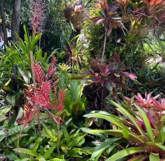 Majatalo Kin Kin Cottage Retreat