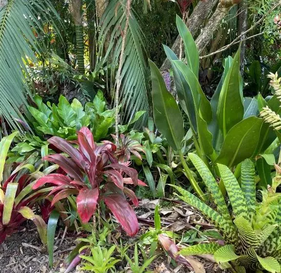 Majatalo Kin Kin Cottage Retreat