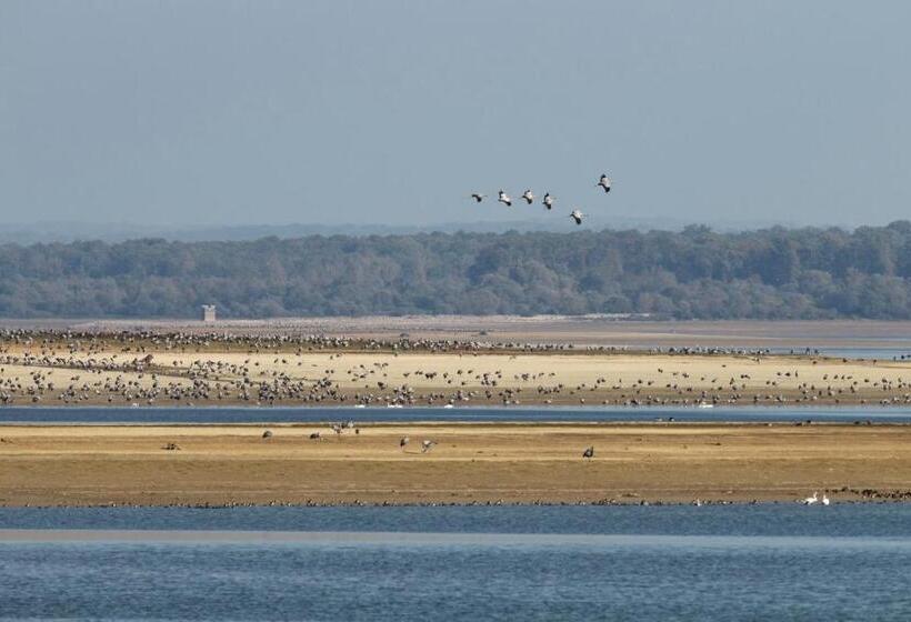 بنسيون La Lavandière Proche Des Lacs Restauration Netflix Parking Privé