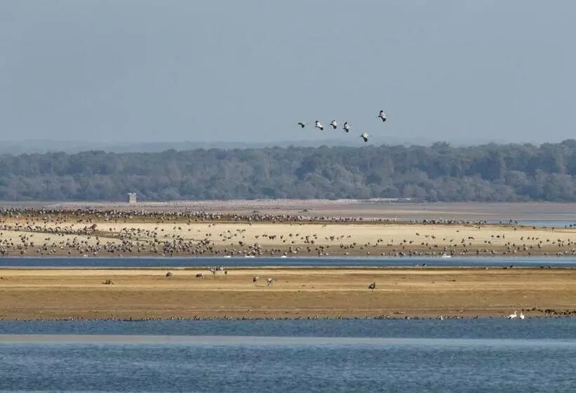 Majatalo La Lavandière Proche Des Lacs Restauration Netflix Parking Privé