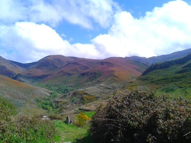 Pension Las Casitas De Requeixo
