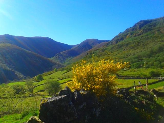 Pension Las Casitas De Requeixo