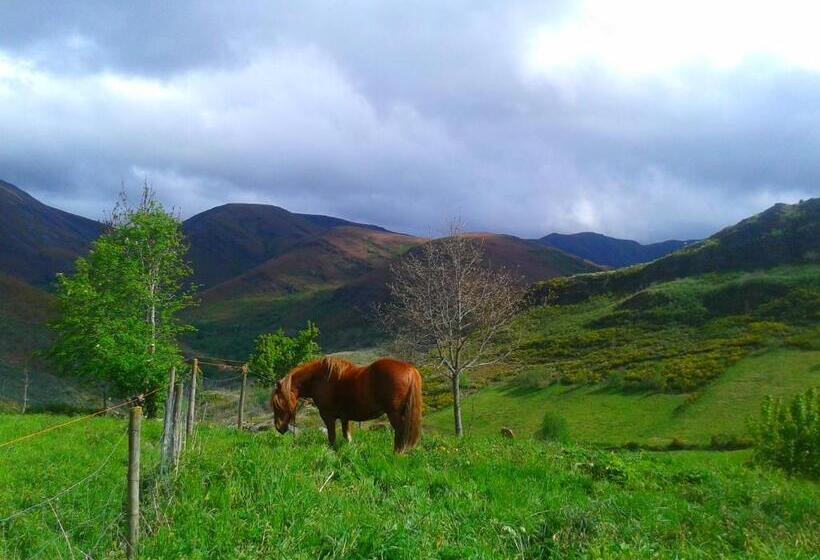 Pension Las Casitas De Requeixo