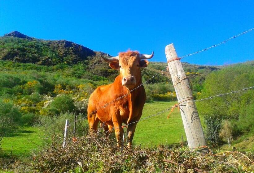 Pension Las Casitas De Requeixo