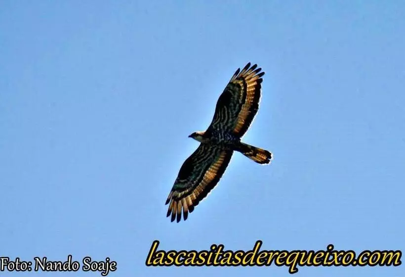 ペンション Las Casitas De Requeixo