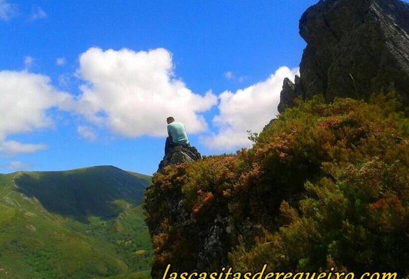 Pension Las Casitas De Requeixo