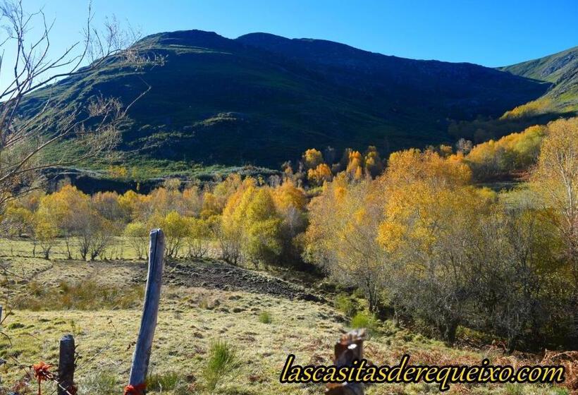 Pension Las Casitas De Requeixo