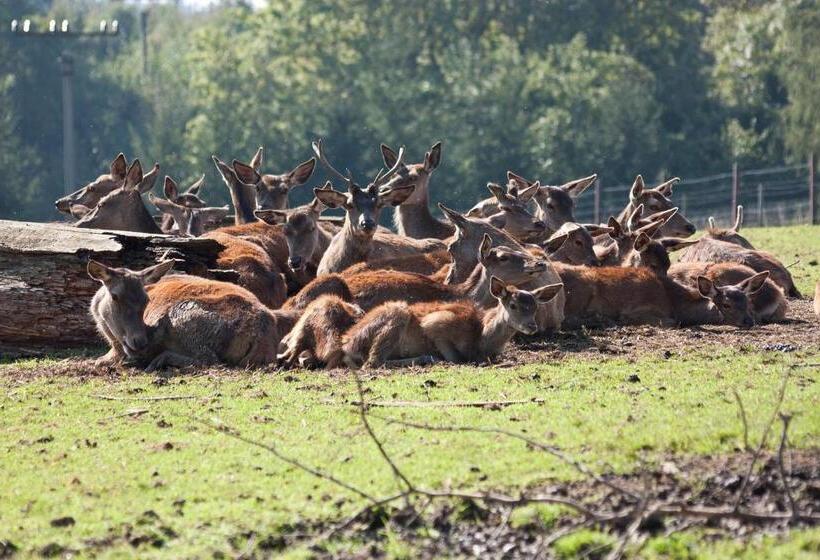 ペンション Penzion Farma Dvorec