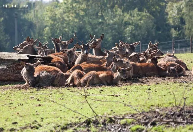 ペンション Penzion Farma Dvorec