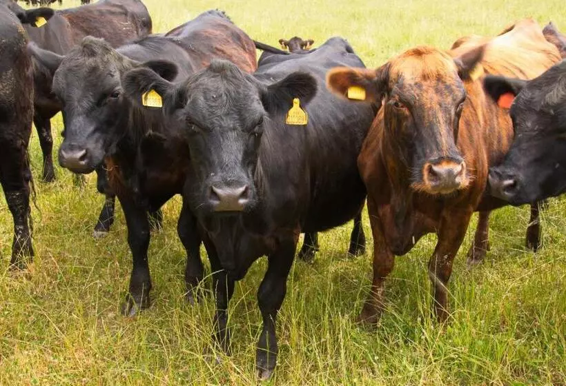 ペンション Penzion Farma Dvorec